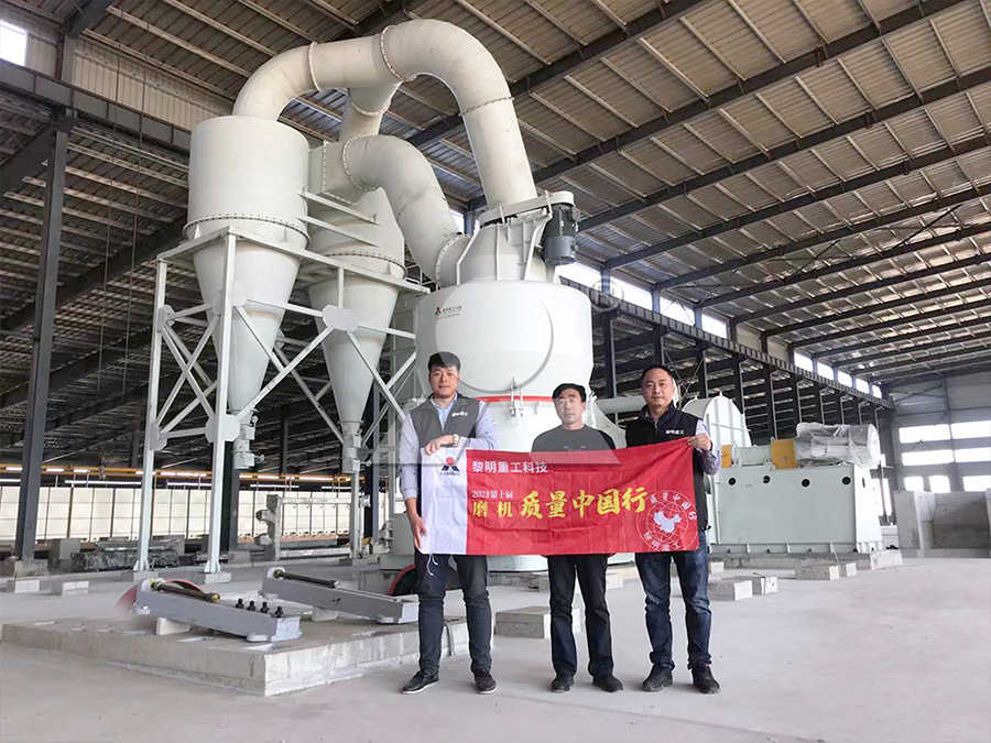 山东工业集团磨粉机  